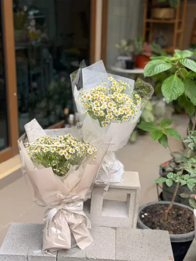 Chamomile Bouquet (Fresh Flower)