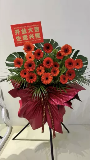 Red Gerbera Grand Opening Stand