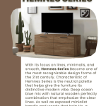 HEMNES 01 HALL CABINET