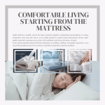 Smart Sleep No.1 Mattress 智眠1号 24"