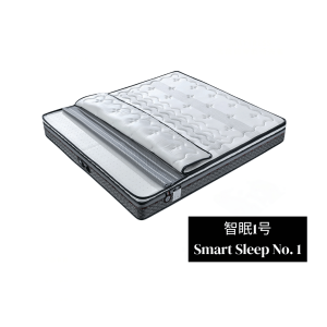 Smart Sleep No.1 Mattress 智眠1号