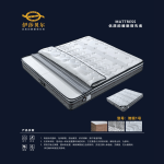 Smart Sleep No.1 Mattress 智眠1号 24"