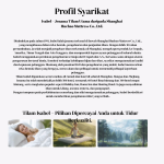 Anti-Mite Star B Mattress 防螨之星B 8.5"