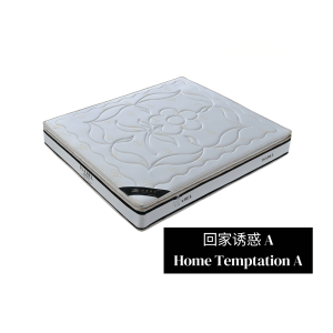 Home Temptation A Mattress  回家诱惑A