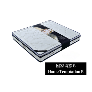 Home Temptation B Mattress 回家诱惑B 23"