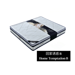Home Temptation B Mattress 回家诱惑B