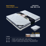 Home Temptation B Mattress 回家诱惑B 23"