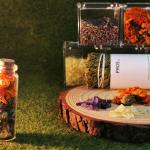 Make-A-Wish Crystal Energy Bottle Amethyst Citrine Lavander Cedar Jasmine Calendula Meditation Cleansing Healing Spiritual