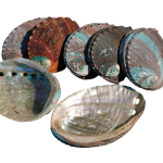 Abalone Shell Meditation Pros Cleansing Healing Spiritual Energy