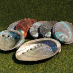 Abalone Shell Meditation Pros Cleansing Healing Spiritual Energy