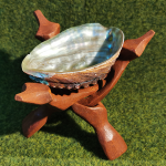 Abalone Shell Meditation Pros Cleansing Healing Spiritual Energy