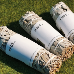 White Sage 4 Inch Smudge Stick Meditation Herb Incense Salvia Apiana Cleansing Healing Spiritual Energy