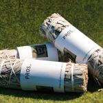 White Sage 4 Inch Smudge Stick Meditation Herb Incense Salvia Apiana Cleansing Healing Spiritual Energy