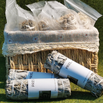 White Sage 4 Inch Smudge Stick Meditation Herb Incense Salvia Apiana Cleansing Healing Spiritual Energy